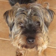 thumbnail_IMG_2448