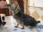 thumbnail_IMG_2476