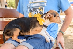 IMG-20191002-WA0025